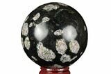 Polished Snowflake Stone Sphere - Pakistan #187525-1